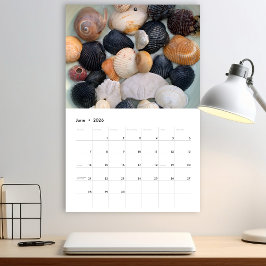 Calendário de Fotografia da Flórida Seashell Volum