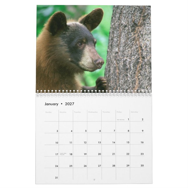 Calendário de Fotografia da Vida Selvagem de Parqu (Jan 2027)