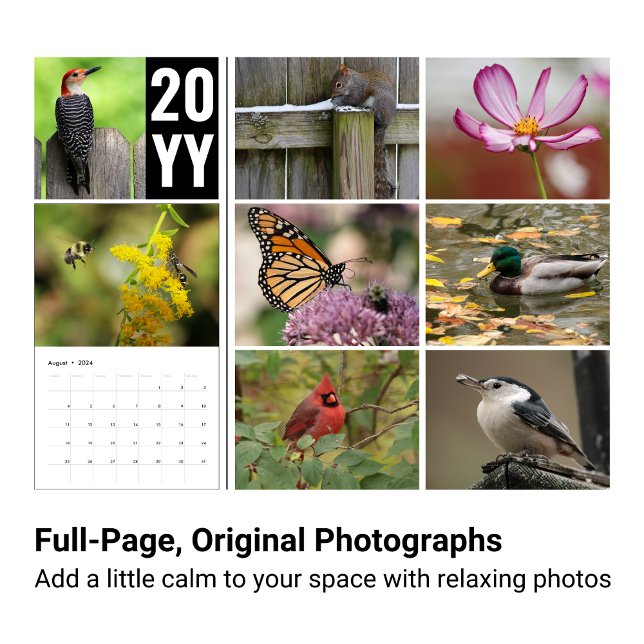 Calendário de Fotografia de 2024 (Nature photography calendar features simple images to bring beauty to your year.)