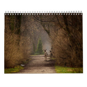 Calendário de Fotografia de Influência Natural 2