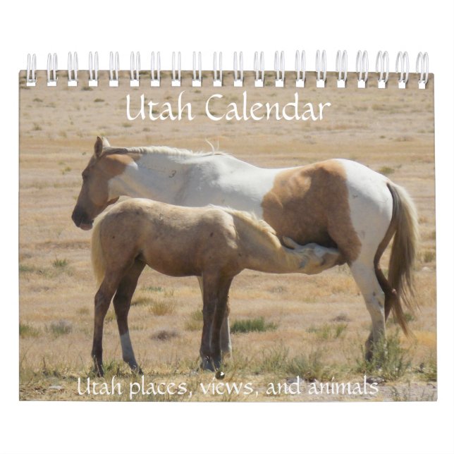 Calendário de Fotografia de Utah (Capa)