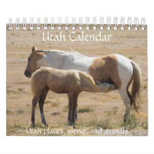 Calendário de Fotografia de Utah