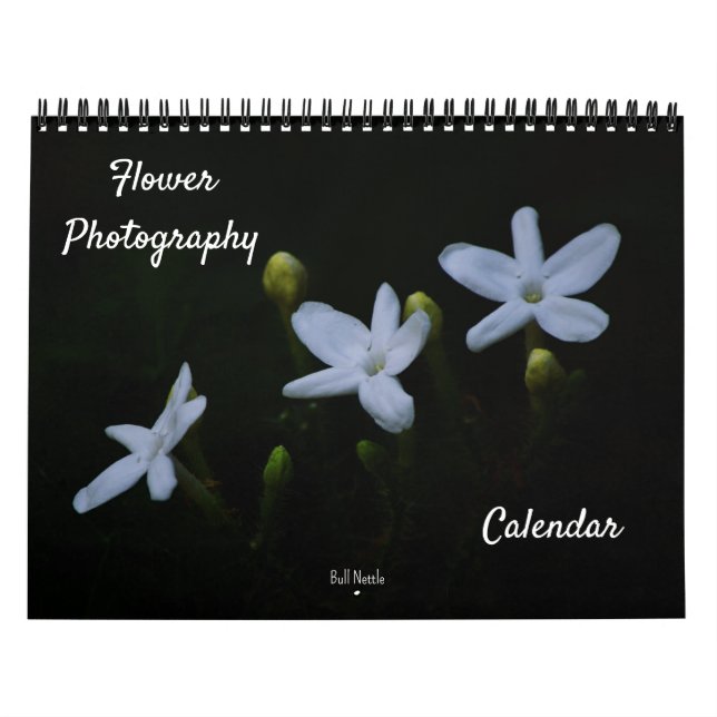 Calendário de Fotografia Flor (Capa)