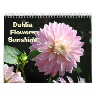 Calendário de Fotografia Flor DAHLIA Flores Florai