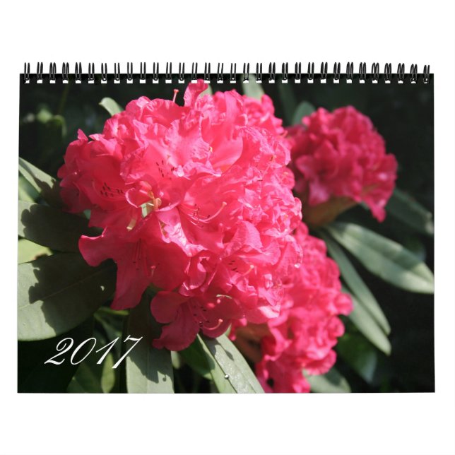 Calendário de Fotografia Floral de 2017 Personaliz (Capa)