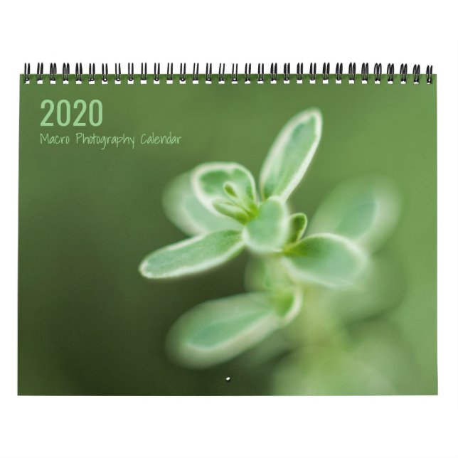 Calendário de Fotografia Macro (Capa)