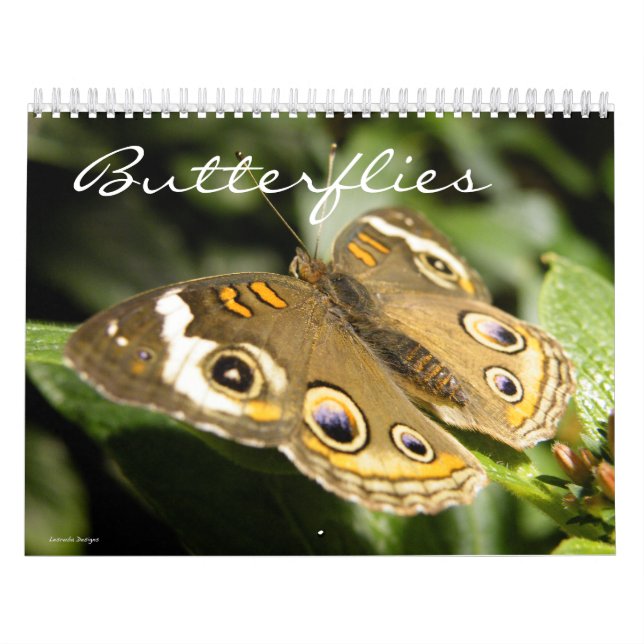 Calendário de Fotografias da Borboleta (Capa)