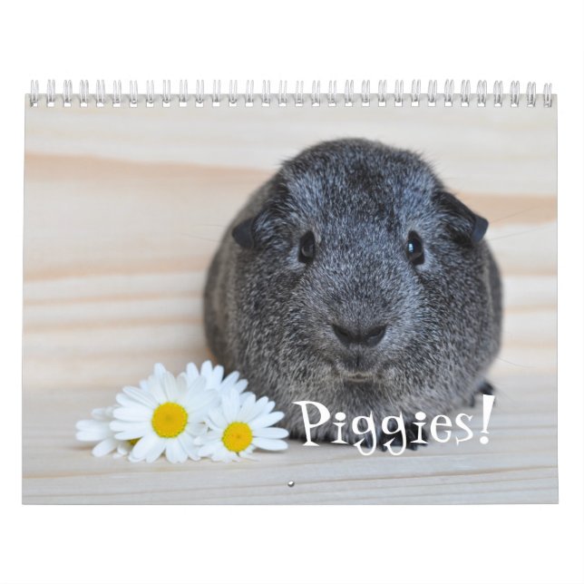 Calendário de Fotografias de Suínos na Guiné (Capa)