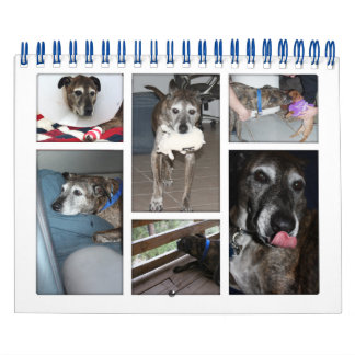 Calendário de Fotografias Personalizado