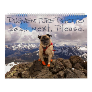 Calendário de Fotos da Pugventure 2021: Próximo, P