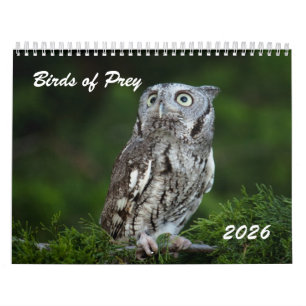 Calendário de fotos de Aves de Rapina Incríveis 20