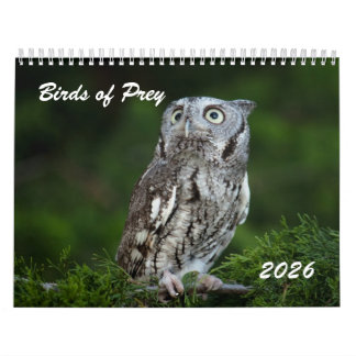 Calendário de fotos de Aves de Rapina Incríveis 20