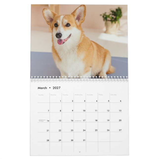 Calendário de Fotos de Pet de Cachorro Engraçado P (Mar 2027)