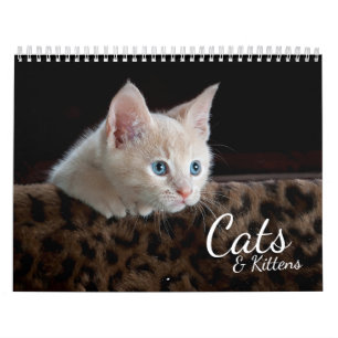 Calendário de Fotos de Pet para Gatos e Gatinhos