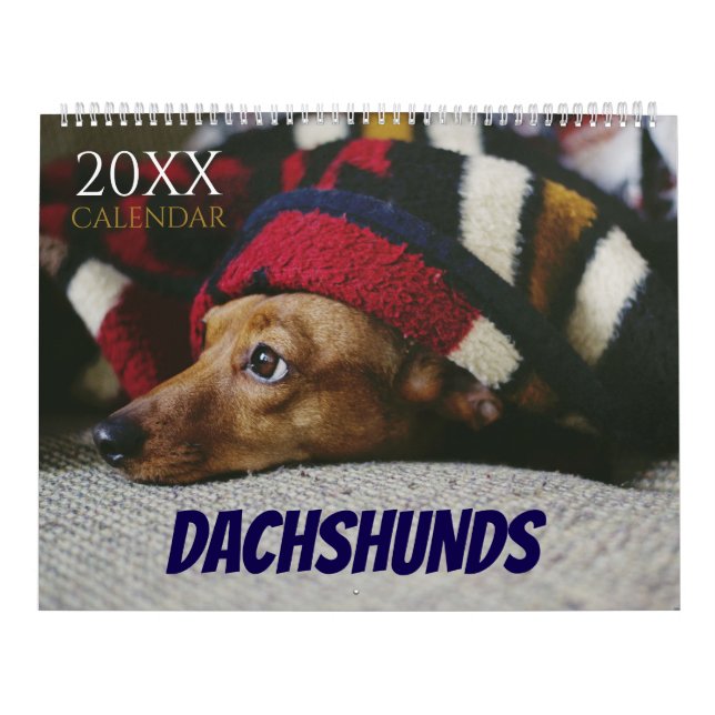 Calendário de Fotos do Cachorro Dachshund 2027 (Capa)