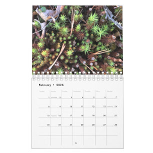 Calendário de fotos gráficas