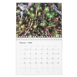 Calendário de fotos gráficas