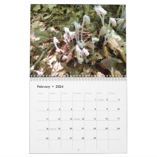 Calendário de Fotos Médio de Duas Páginas Personal