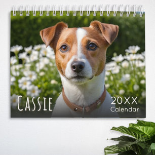 Calendário de Fotos Personalizado do seu Cão de Es
