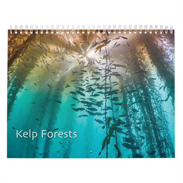 Calendário de Fotos Submarinas da Floresta Kelp -  (Capa)
