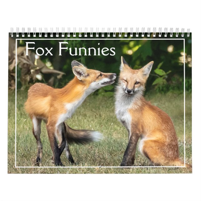 Calendário de Funnies de Raposas (Capa)