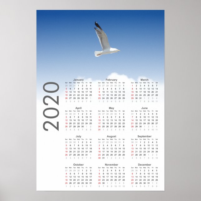 Calendário de Gaivotas 2020 Poster (Frente)