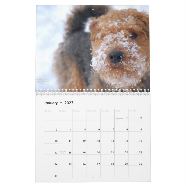 Calendário de galês Terrier 2012 por Darwyn (Jan 2027)