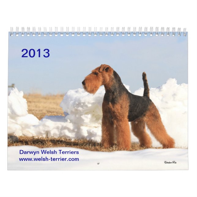 Calendário de galês Terrier 2013 por Darwyn (Capa)