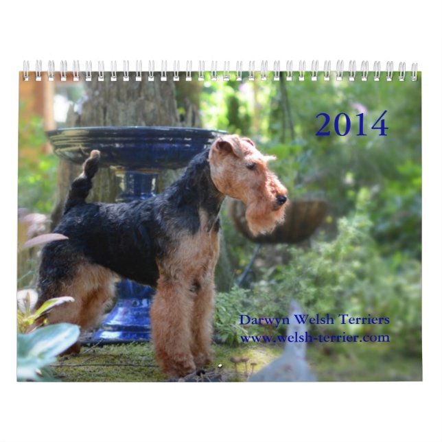 Calendário de galês Terrier 2014 por Darwyn (Capa)