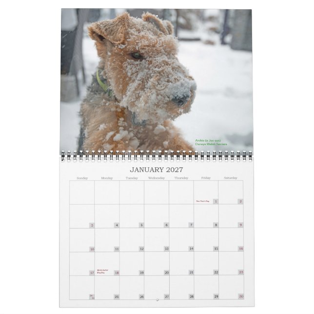 Calendário de galês Terrier 2015 por Darwyn (Jan 2027)