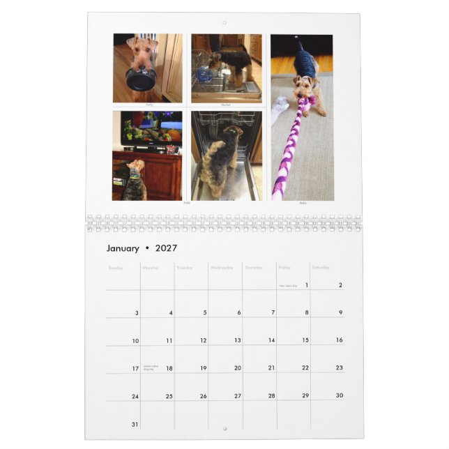 Calendário de galês Terrier 2015 por SBWT (Jan 2027)