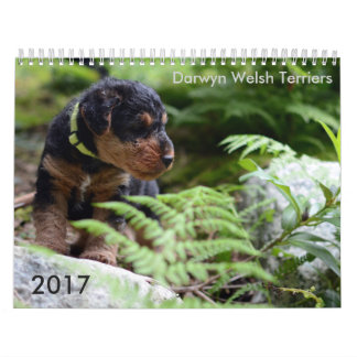 Calendário de galês Terrier 2017 por Darwyn