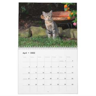 Calendário de Gatinhos