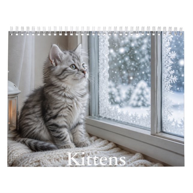 Calendário de Gatinhos (Capa)