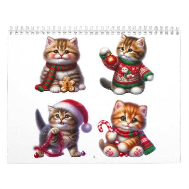 Calendário de Gatinhos Aconchegantes com Chapéus d (Capa)