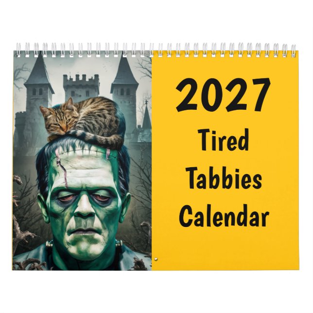 Calendário de Gatinhos Atordoados Engraçados de 20 (Capa)