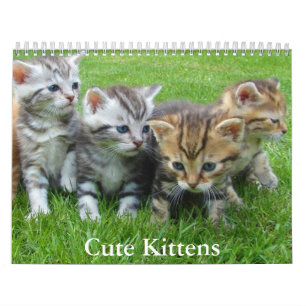 Calendário de Gatinhos Fofos