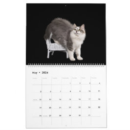 Calendário de Gatinhos Siberianos
