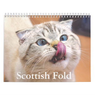 Calendário de Gato de Dobro Escocês