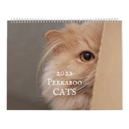 Calendário de Gato de Pequim