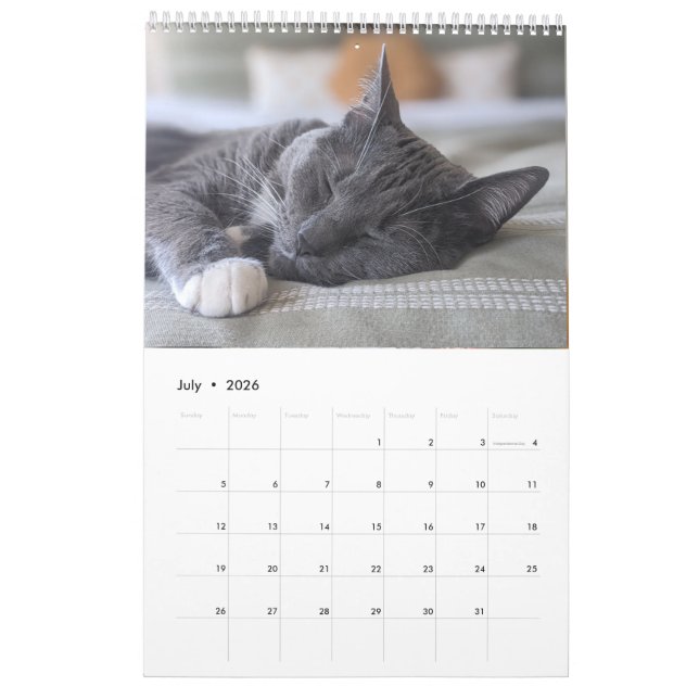 Calendário de Gato Sonolento (Jul 2026)