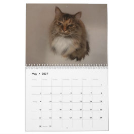 Calendário de Gatos