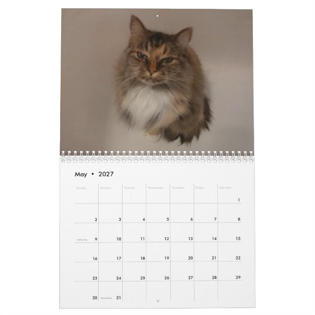 Calendário de Gatos (Maio 2027)