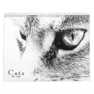 Calendário de Gatos