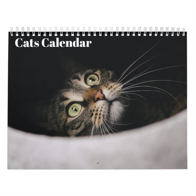 Calendário de Gatos 2026 (Capa)