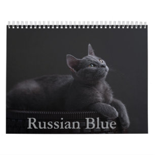 Calendário de Gatos Azuis Russos