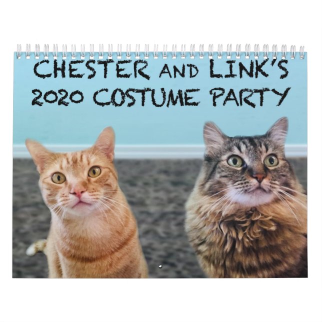 Calendário de Gatos Costumados 2020 (Capa)