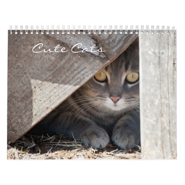 Calendário de Gatos de Corte (Capa)