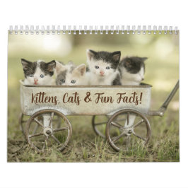 Calendário de Gatos de Gatinho de Gatinho