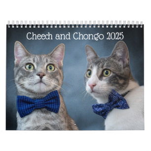 Calendário de Gatos de Gato